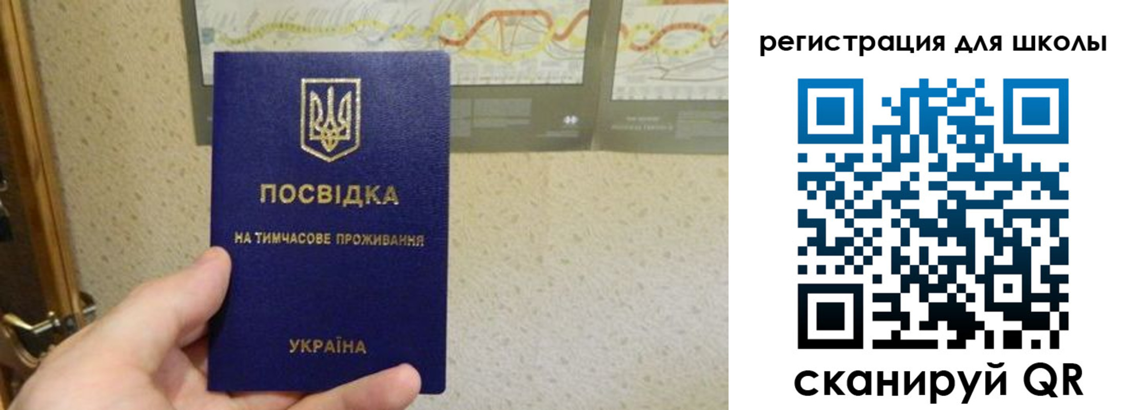 временная прописка в Волжске